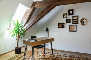 LE RHENANUS Hans Sapidus - appartement spacieux, au calme - parking gratuit - 6