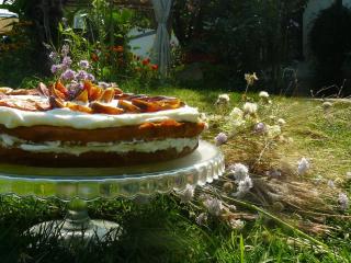 Guest House Dan Kolov - 6