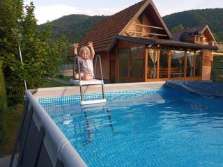 Kuća za odmor "DRINSKI KONAK" - Zvorničko jezero - Drina - Zvornik - 9