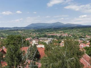 Vila Breza - Soko Banja - 4