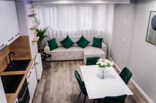 Scandinavian Lux Apartment Oradea - Oradea - 9
