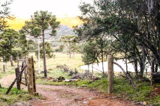 Casa de Campo da Vó - 5