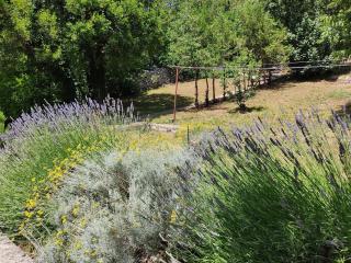 House House Povile - 2