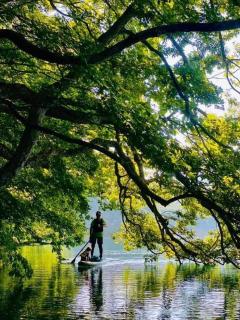 Kizuna Lodge & BBQ Centre - Hakuba - 8