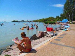 Apartments in Balatonfüred/Balaton 27839 - Balatonfüred - 1