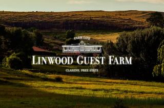 Linwood Guest Farm - Clarens - 0