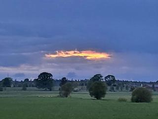 Grimslöv Wärdshus - 4