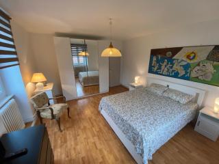 Magnifique villa à 5 minutes de Colmar - Horbourg - 1