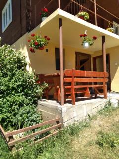 Casa din Poiană - Hănăşeşti - 7