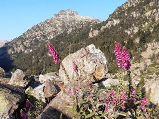 Charmant T2 au centre de Cauterets - 4 pers, ascenseur, proche parking, casier à skis - FR-1-234-148 - 7