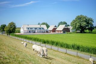 Ferienanlage "Gut Tossens" - Tossenserdeich - 6