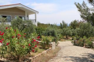 FANTASY GRAND VILLA THASSOS - 1