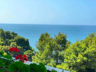 CORPUS B - Hotel Albatros - Ulcinj - 7