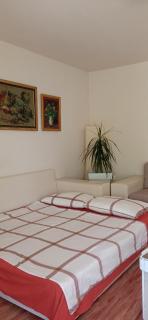 BranySol Apartman - Novi Sad - 8