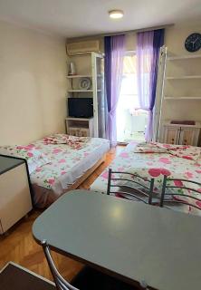 Sunčani apartman 1-Vila Amfora - Budva - 3