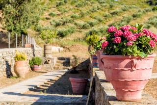 Ktima Abella ✩ Organic Garden ✩ Absolute Privacy - Élos - 8