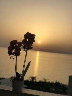 Residenza Luce Sul Mare - Tropea - 4