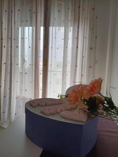 Butterfly House - Castellammare di Stabia - 9