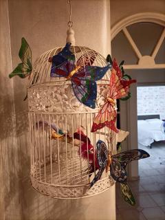 Butterfly House - Castellammare di Stabia - 5