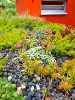 Finger's Hyggelig-Haus - Erbach - 2