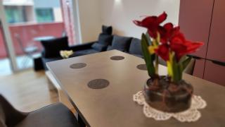 Apartment Ozare - Slovenj Gradec - 9