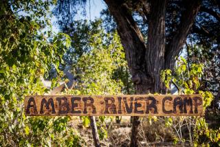 Amber River Camp - 8