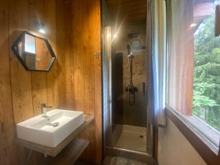 Chalet 6 chambres avec jacuzzi et parking, La Tania - FR-1-513-72 - 3