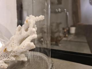 Apartment Georgina - 3