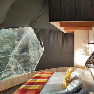 Malalcahuello Eco Glamp - Malalcahuello - 1