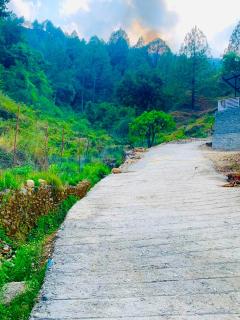 Mrig Valley Resort, Homestay & Banquet - 4