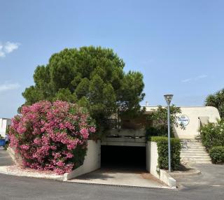 Appartement La Petite Maison - Le Grau-du-Roi - 9