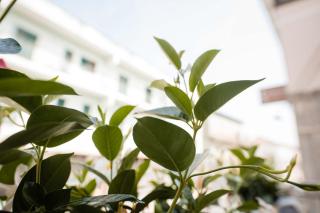 Palazzo ReSilente- B&B dell'Infopoint - 7