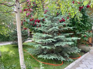 Hotel Crocus - Bosteri - 6