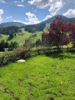 Hotel Dunza - Bürserberg - 8