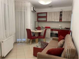 Holiday Wing Apartment 2 - Jagodina - 5