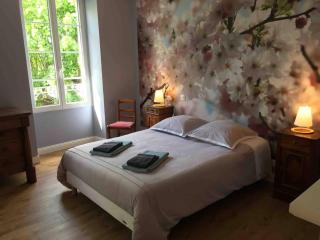 Entre Vignobles et Estuaire - Gîte 12 pers - Saint-Thomas-de-Cônac - 5