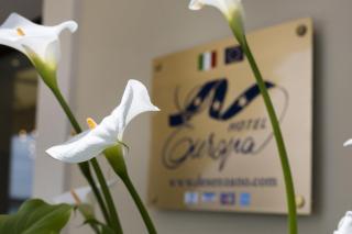 Hotel Europa - Desenzano del Garda - 5