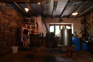 S'Harzala Vert bis - Bergheim - 8