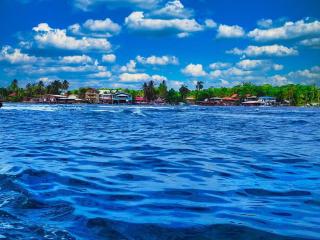 Poetry Garden Bocas Town Colon Island- Deluxe Bungalow Cabin-AC-Enjoy the Night Life - Bocas del Toro - 9