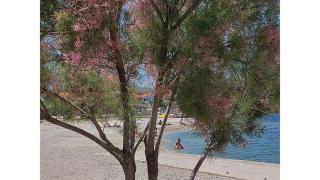 Blue Sea Vir Apartments - Vir - 6