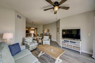106 Barrington Arms - Hilton Head Island - 7