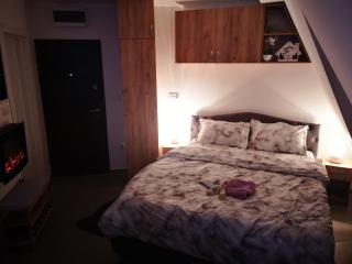 Apartman Sofija Divcibare - Divčibare - 5