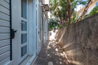 Palm garden apartment in center with big terrace - 8