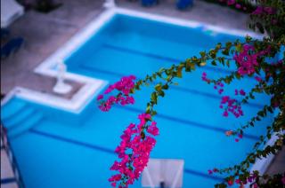 Aphrodite Apartments - Calitea (Kallithea) - 5