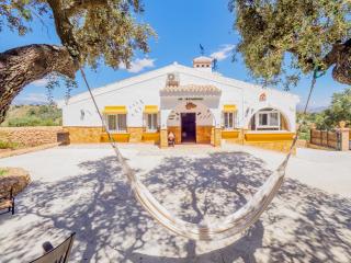 Tu Villa Rural Lentisco 8 Dormitorios Piscina privada - Alhaurín el Grande - 7