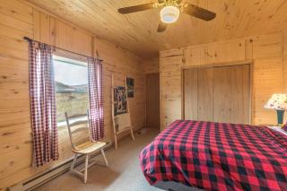 Charming Starlight Cabin - Creede - 2