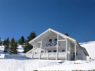 Chalet spacieux avec poêle à bois, WIFI gratuit, terrasse, garage et proche des pistes - FR-1-425-122 - Flaine - 9