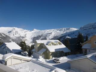 Chalet spacieux avec poêle à bois, WIFI gratuit, terrasse, garage et proche des pistes - FR-1-425-122 - Flaine - 8