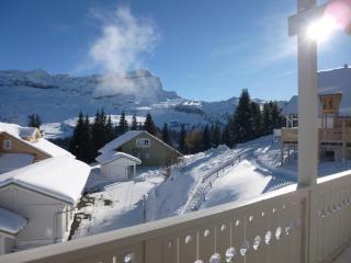 Chalet spacieux avec poêle à bois, WIFI gratuit, terrasse, garage et proche des pistes - FR-1-425-122 - Flaine - 7