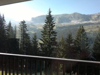Appartement spacieux avec balcon sud, centre station, parking, à Flaine Forêt - FR-1-425-125 - Flaine - 3
